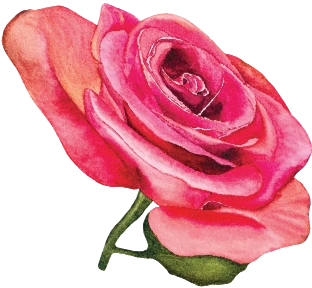 BOCAGRANDE decoration 2