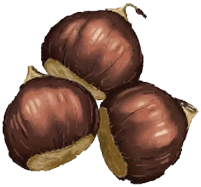 BOCAGRANDE decoration 2