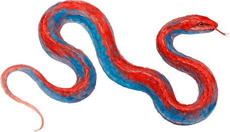 SERPENTIA decoration 2