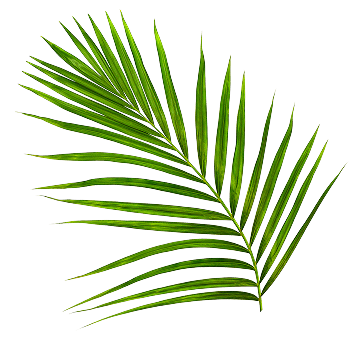 LARVOTTO decoration 2